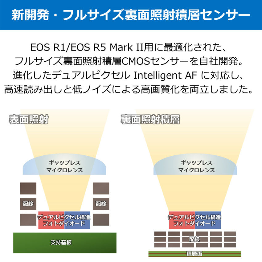 キヤノン EOS R5 Mark II・RF24-105L IS USM レンズキット