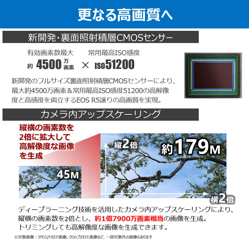 キヤノン EOS R5 Mark II・RF24-105L IS USM レンズキット