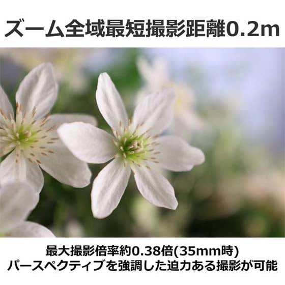キヤノン RF 14-35mm F4 L IS USM