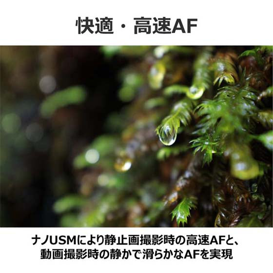 キヤノン RF 14-35mm F4 L IS USM