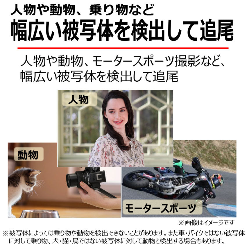 キヤノン EOS R10・ボディ