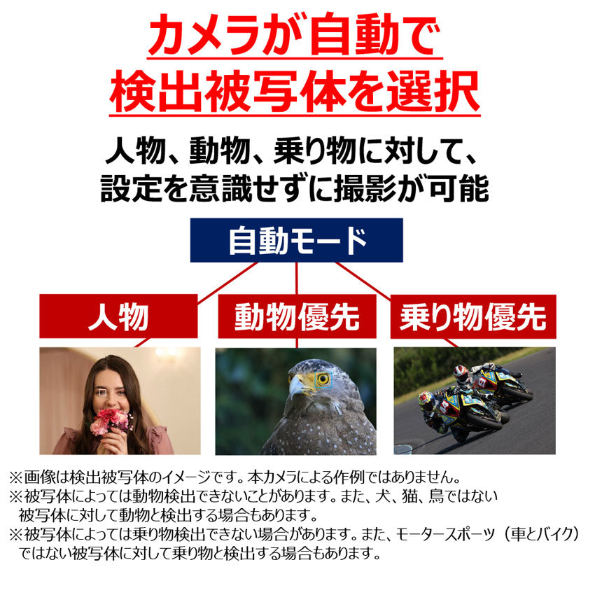 キヤノン EOS R50・ボディー (ブラック)