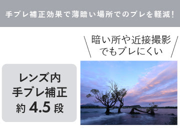 ニコン NIKKOR Z DX 12-28mm F3.5-5.6 PZ VR