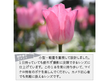 ニコン NIKKOR Z MC 50mm F2.8