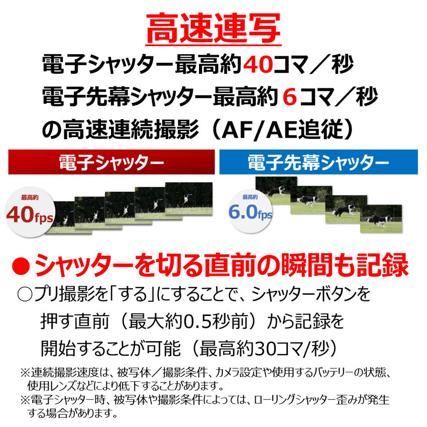 キヤノン EOS R8・ボディ
