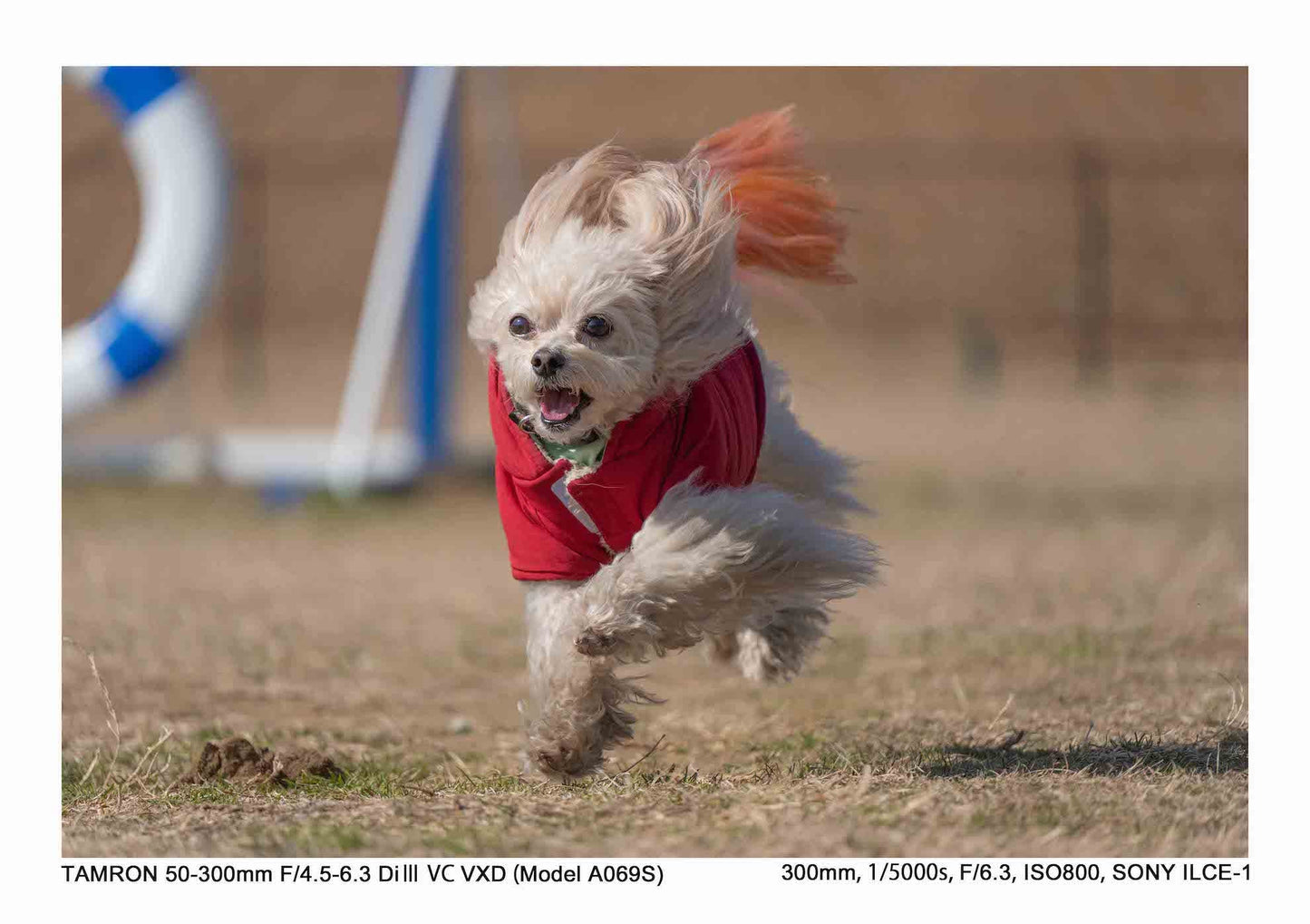 タムロン 50-300mm F4.5-6.3 Di III VC VXD (ソニーEマウント) Model A069S
