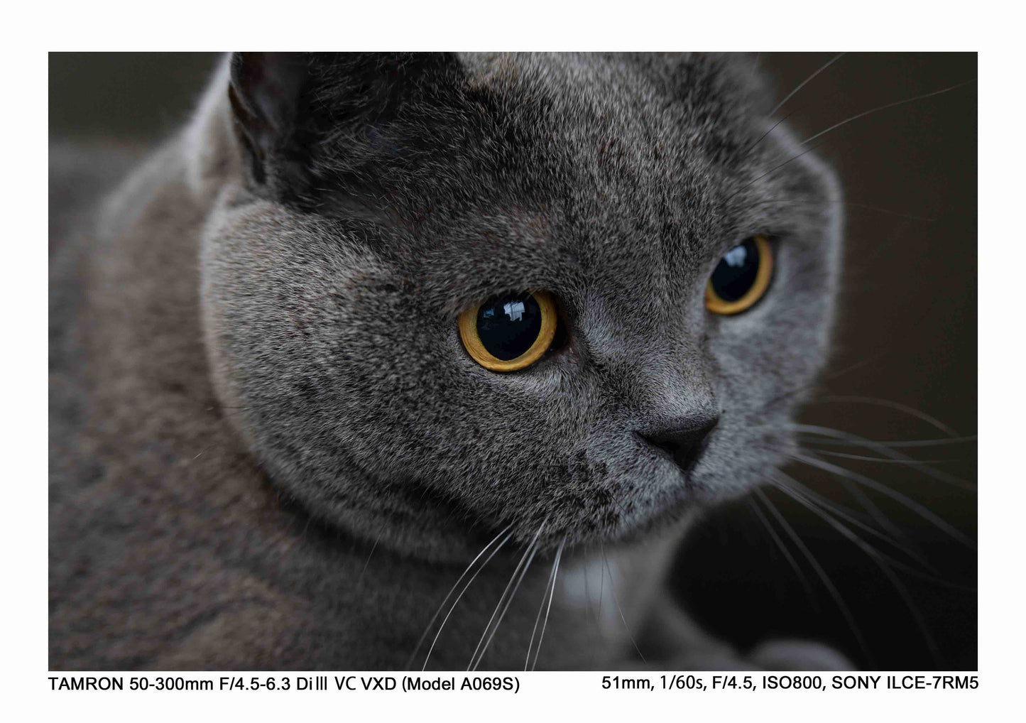 タムロン 50-300mm F4.5-6.3 Di III VC VXD (ソニーEマウント) Model A069S