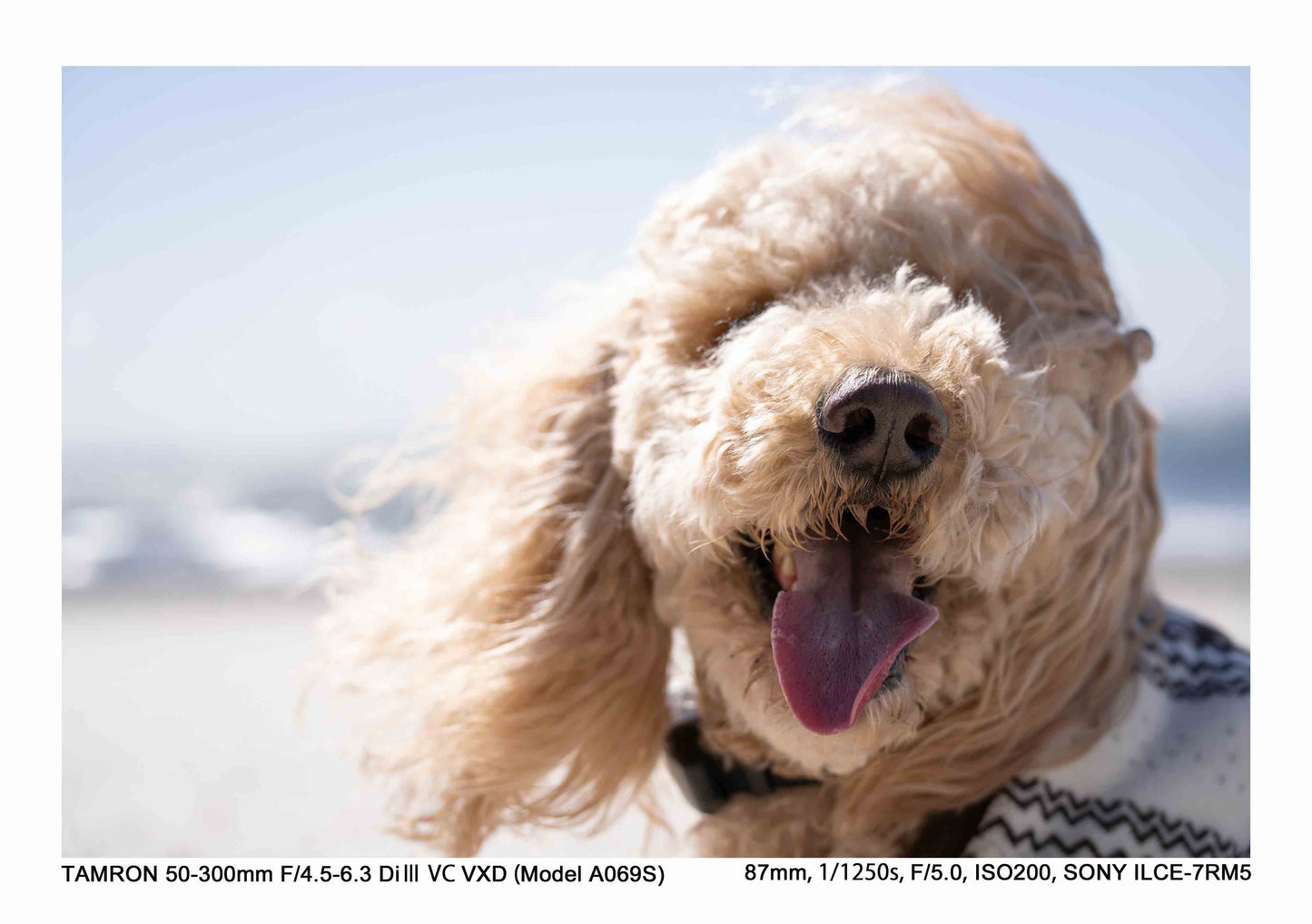 タムロン 50-300mm F4.5-6.3 Di III VC VXD (ソニーEマウント) Model A069S