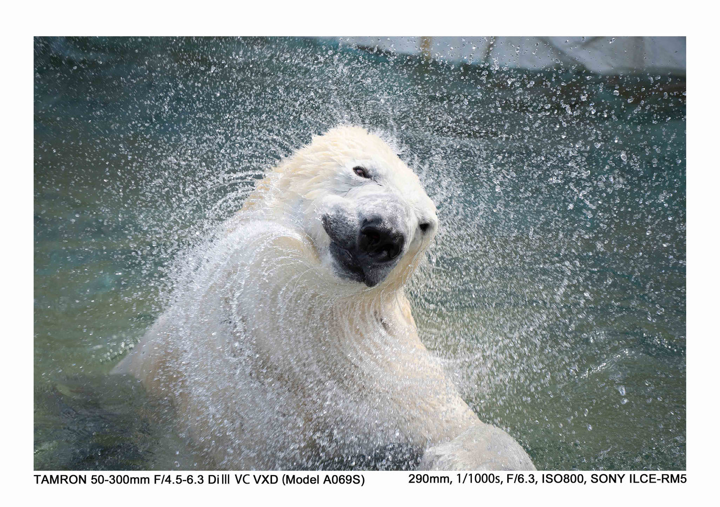 タムロン 50-300mm F4.5-6.3 Di III VC VXD (ソニーEマウント) Model A069S