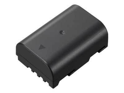 パナソニック バッテリーパック DMW-BLF19