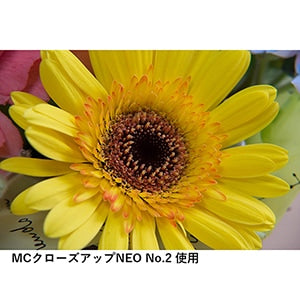 ケンコー 58 S MC C-UP NEO NO2