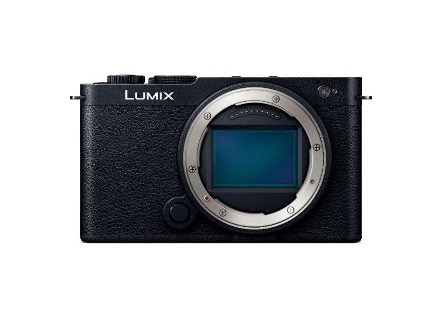 パナソニック LUMIX S9 (ブラック) DC-S9-K