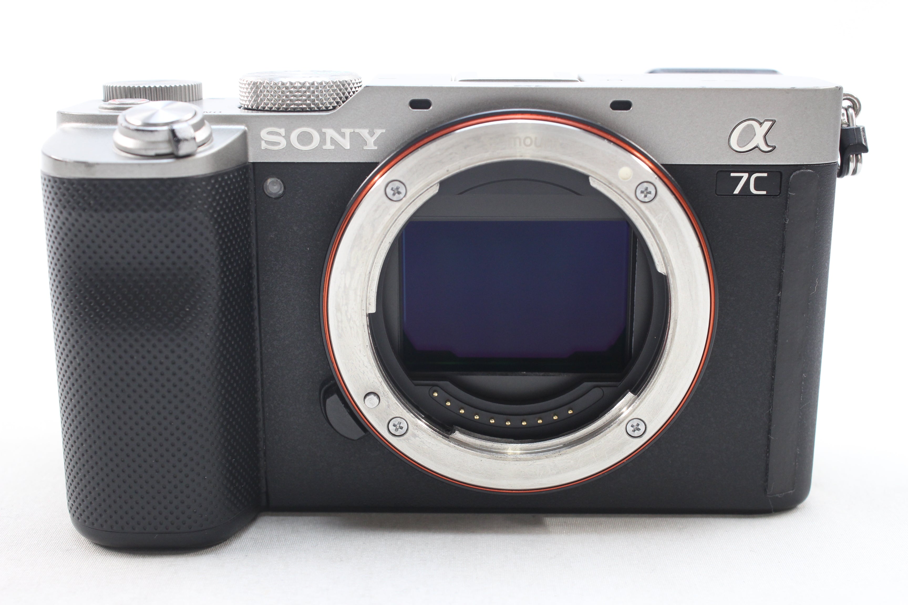 SONY - 【2/1まで】SONY α7rii + レンズSEL55210セット（おまけ付） 偏ったカメラレビュー: α7IIで使うSEL55210 画質は？