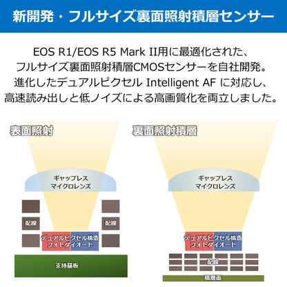 Canon EOS R5 Mark II