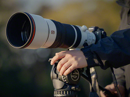 ソニー FE 100-400mm F4.5 GM OSS