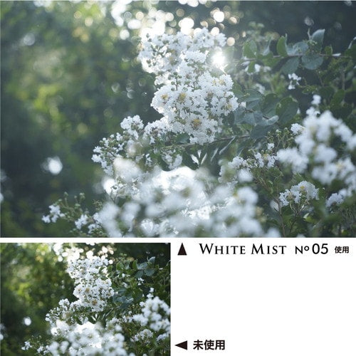 ケンコー ホワイトミスト No.05 82mm – トキワカメラ