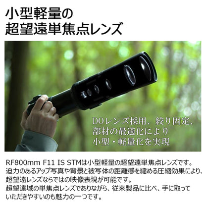 キヤノン RF 800mm F11 IS STM