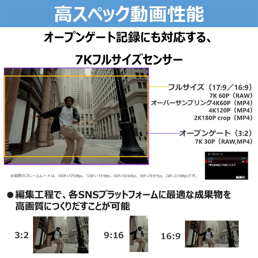 キヤノン EOS R6 V