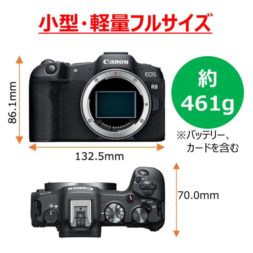 キヤノン EOS R8・RF24-50 IS STM レンズキット – トキワカメラ