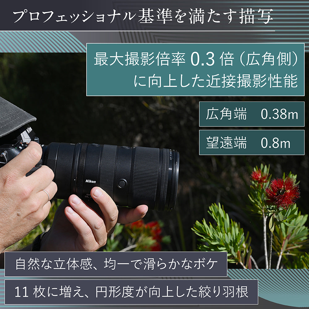 ニコン NIKKOR Z 70-200mm F2.8 VR S Ⅱ