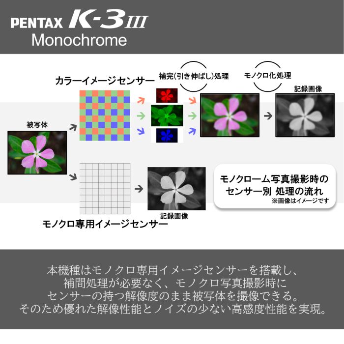 ペンタックス K-3 Mark III Monochrome　