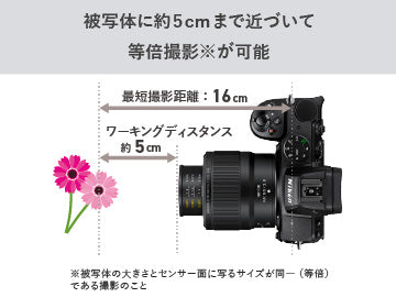 ニコン NIKKOR Z MC 50mm F2.8 – トキワカメラ