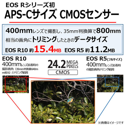 キヤノン EOS R10・ボディー