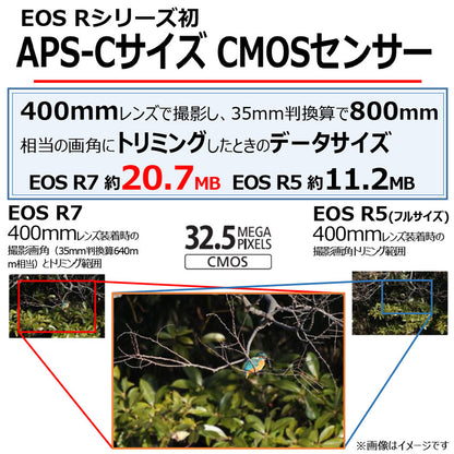 キヤノン EOS R7・ボディー