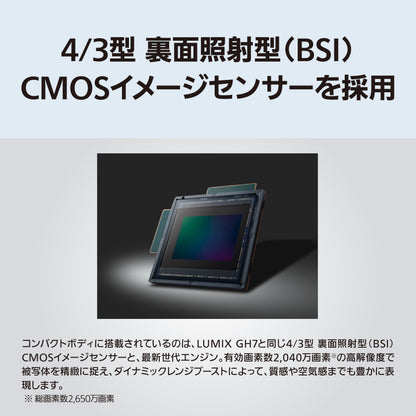 パナソニック DC-L10 (シルバー)