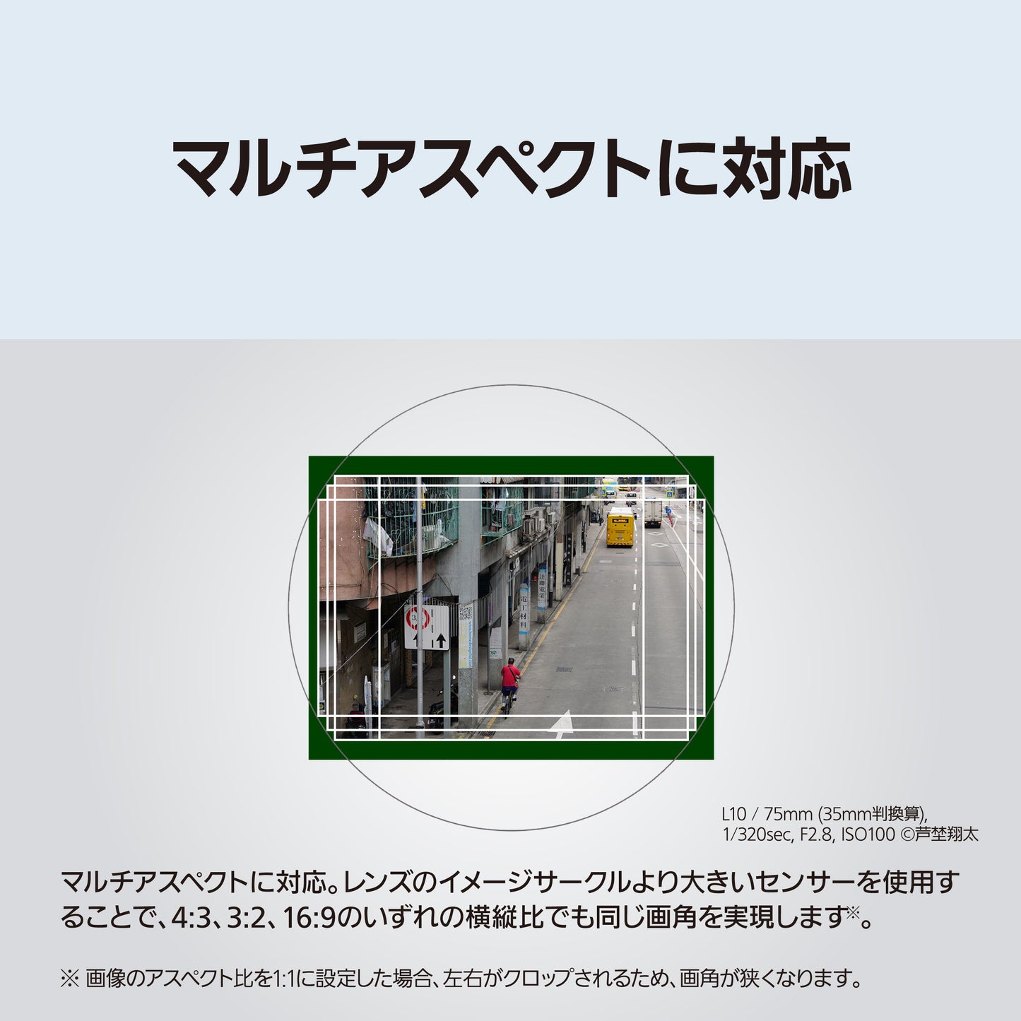 パナソニック DC-L10 (シルバー)