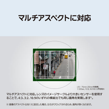 パナソニック DC-L10 (シルバー)