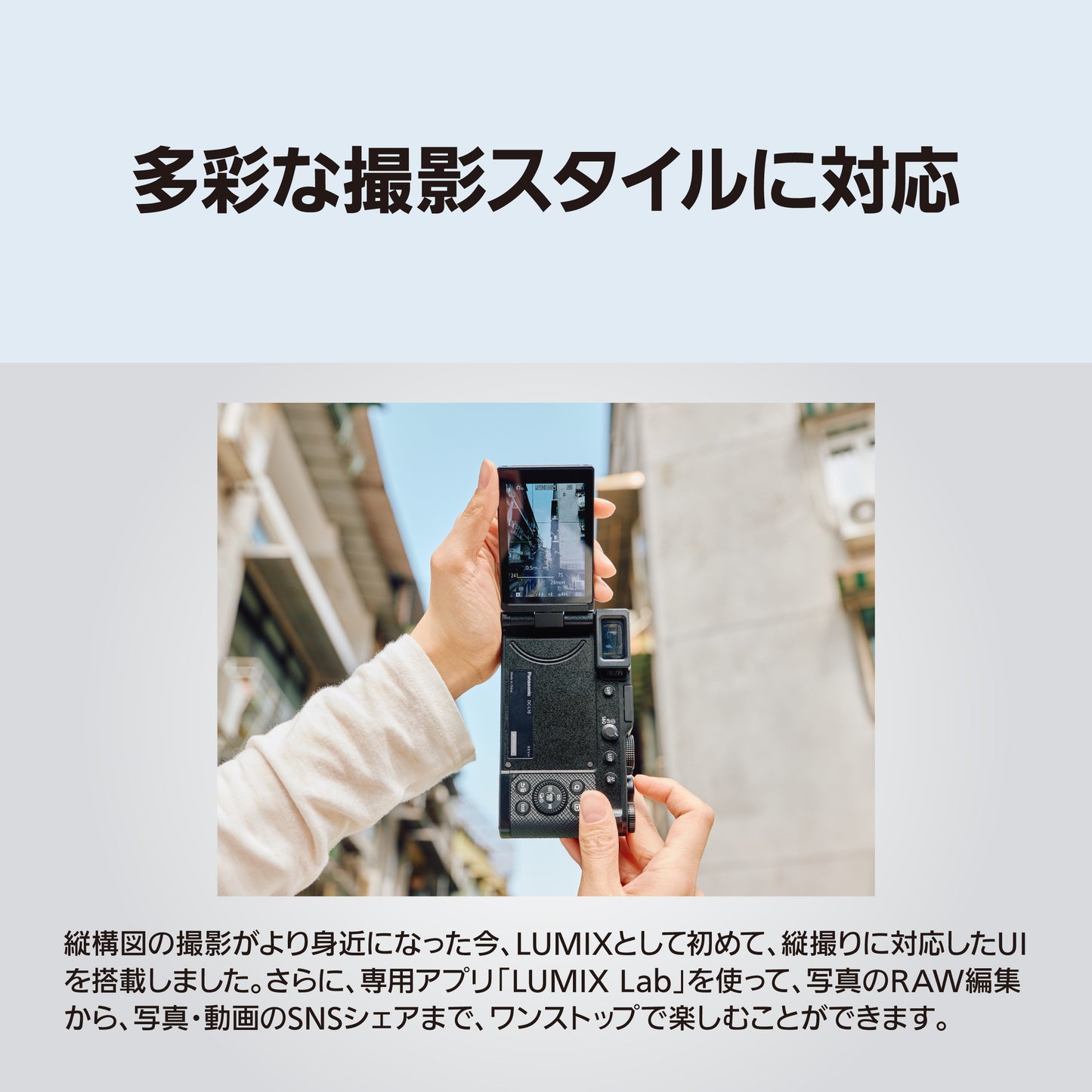 パナソニック DC-L10 (シルバー)