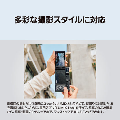 パナソニック DC-L10 (シルバー)