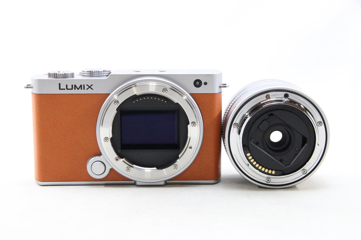 【中古(used)】 Panasonic LUMIX S9 + S 18-40mm F4.5-6.3