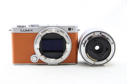 【中古(used)】 Panasonic LUMIX S9 + S 18-40mm F4.5-6.3