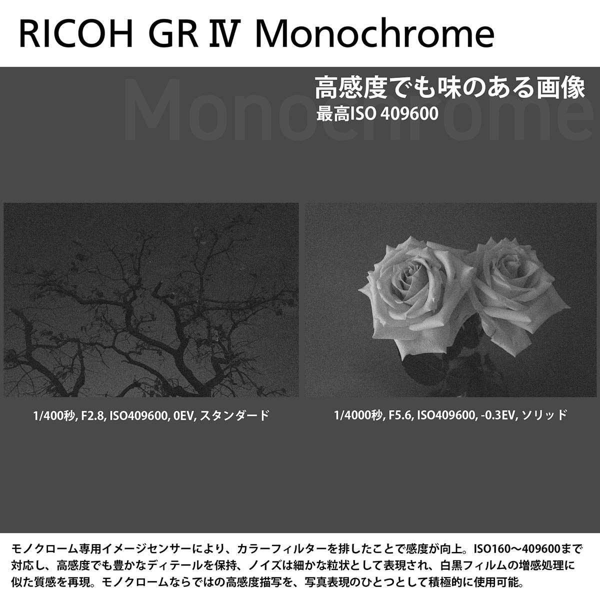 RICOH GR IV Monochrome – トキワカメラ