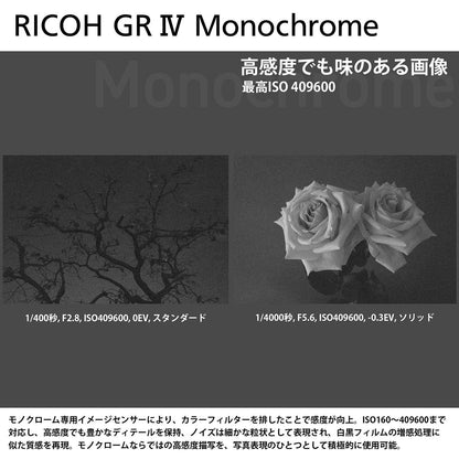 RICOH GR IV Monochrome