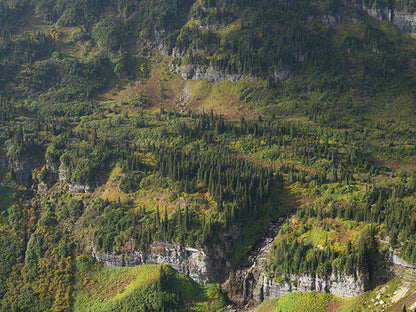 ソニー α7 V [ILCE-7M5]