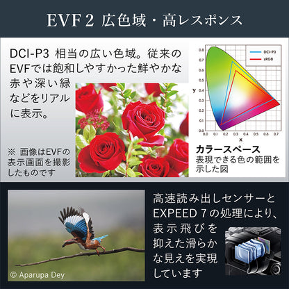 ニコン Z6III 24-120 レンズキット