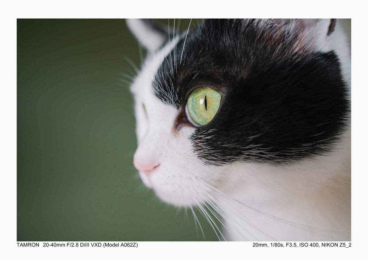タムロン 20-40mm F2.8 Di III VXD (ニコンZマウント) Model A062Z