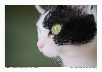 タムロン 20-40mm F2.8 Di III VXD (ニコンZマウント) Model A062Z