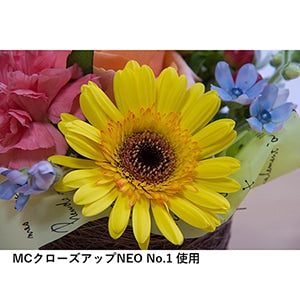 ケンコー 82 S MC C-UP NEO NO1