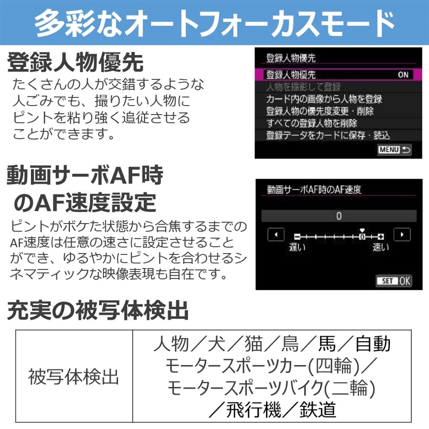 キヤノン EOS R50 V･ダブルズームキット