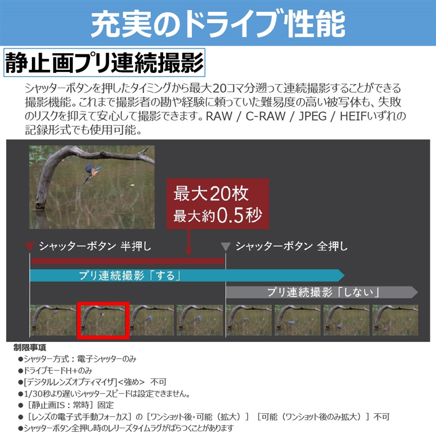 キヤノン EOS R6 Mark III