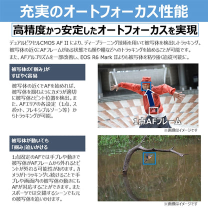 キヤノン EOS R6 Mark III・RF24-105 L IS USM レンズキット